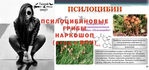 спиды Костерёво