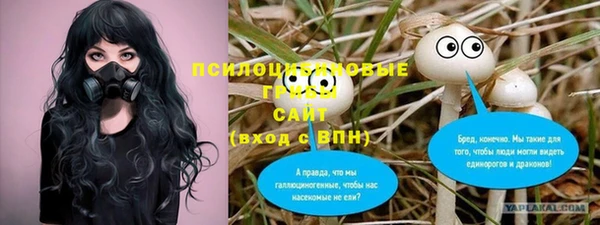 спиды Костерёво
