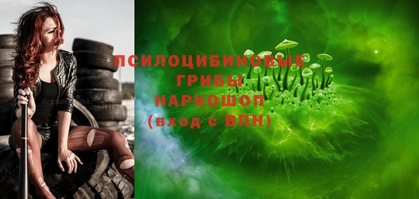 мдпв Корсаков