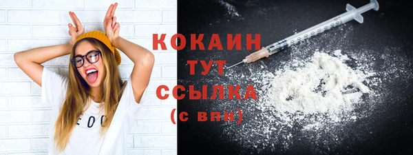 мдпв Корсаков