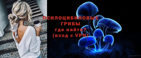 спиды Костерёво