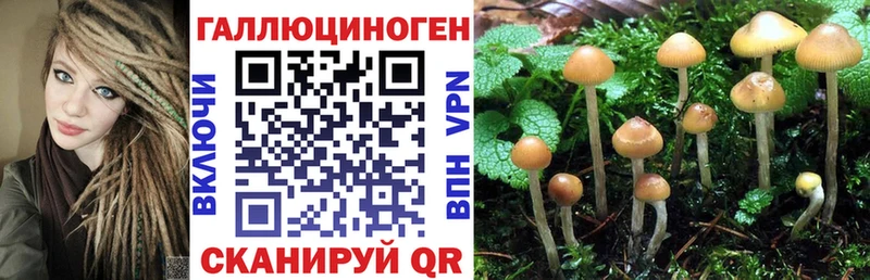 Псилоцибиновые грибы Cubensis  ссылка на мегу ссылка  Назрань 